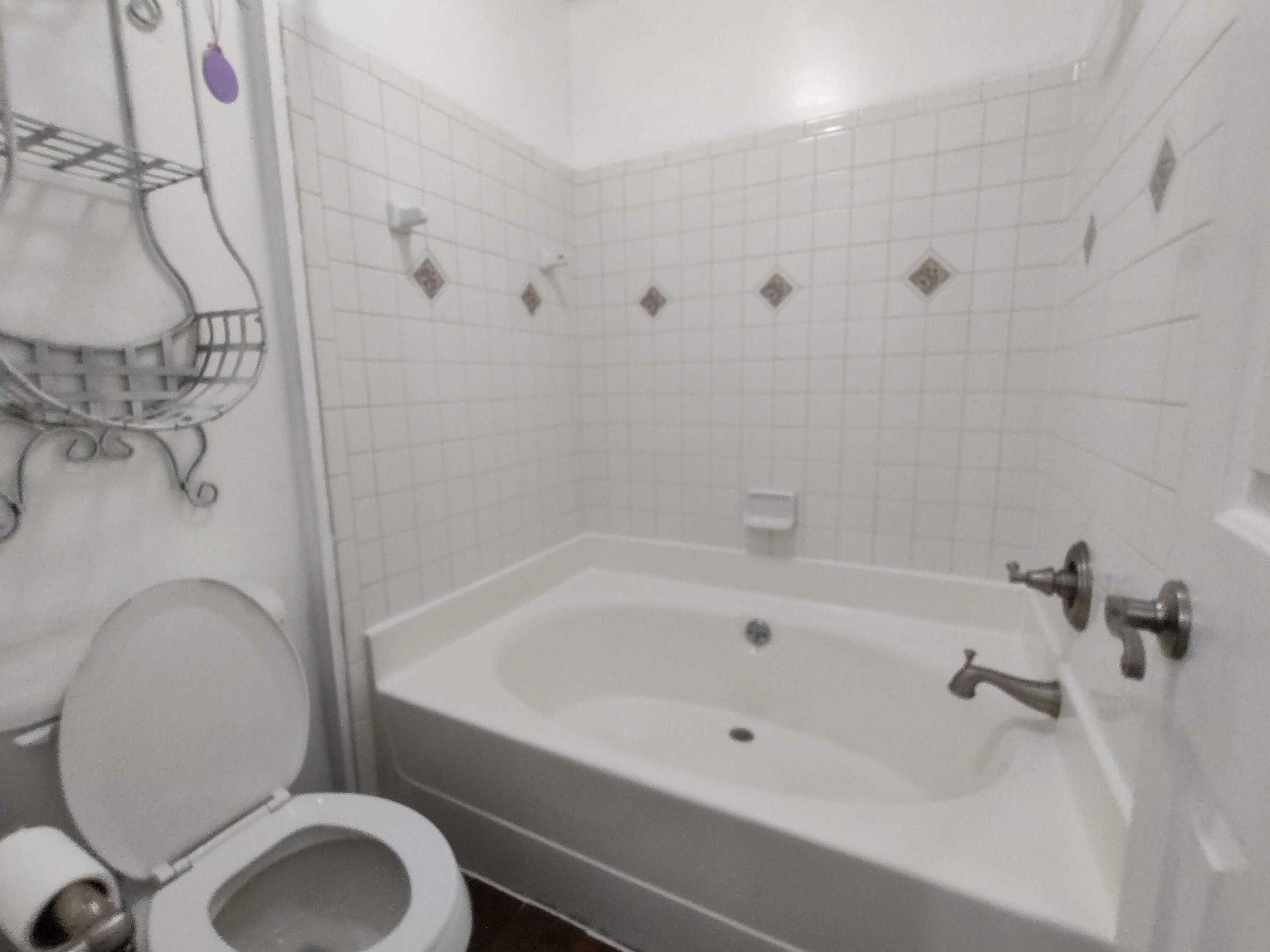524 Laurel Ridge Road North Charleston, SC 29418 - Photo 14 of 27 Master Bathtub