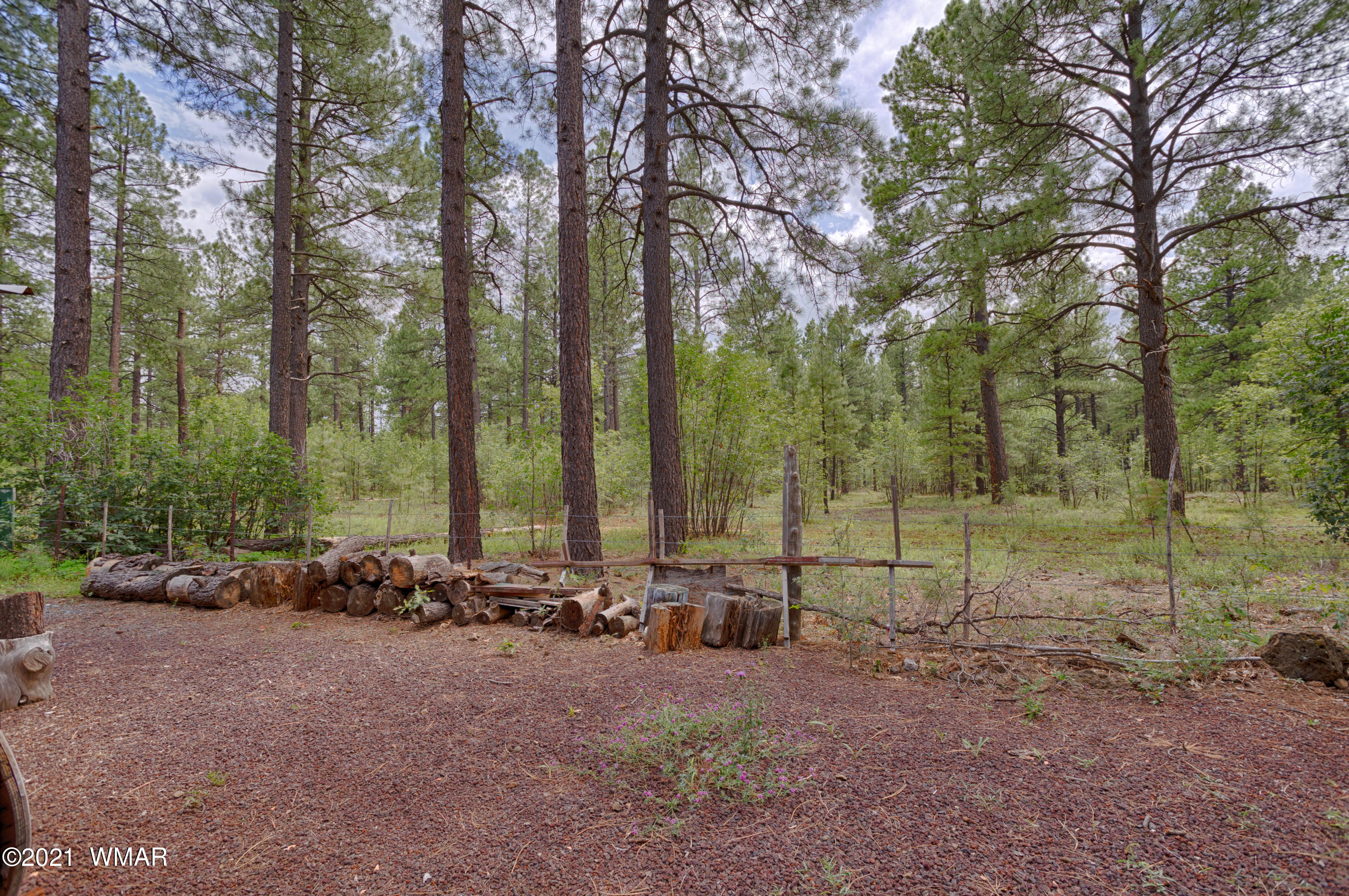 5439 South Blue Ridge Loop Pinetop, AZ 85935 - Photo 18 of 25