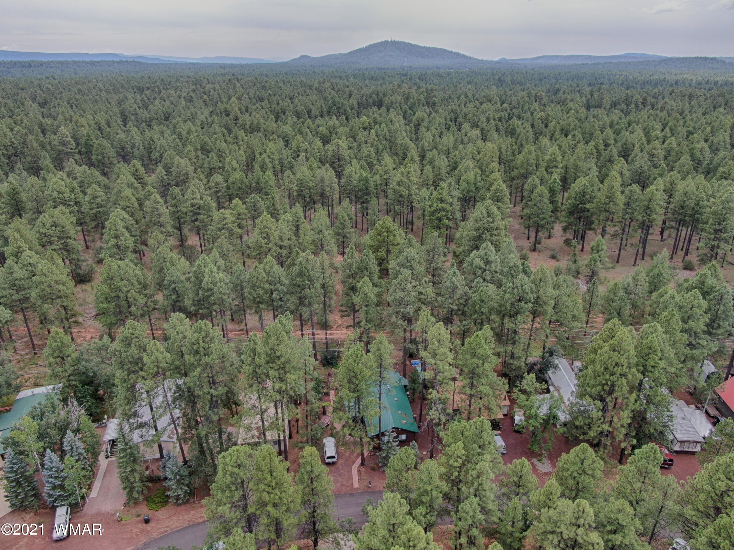 5439 South Blue Ridge Loop Pinetop, AZ 85935 - Photo 24 of 25