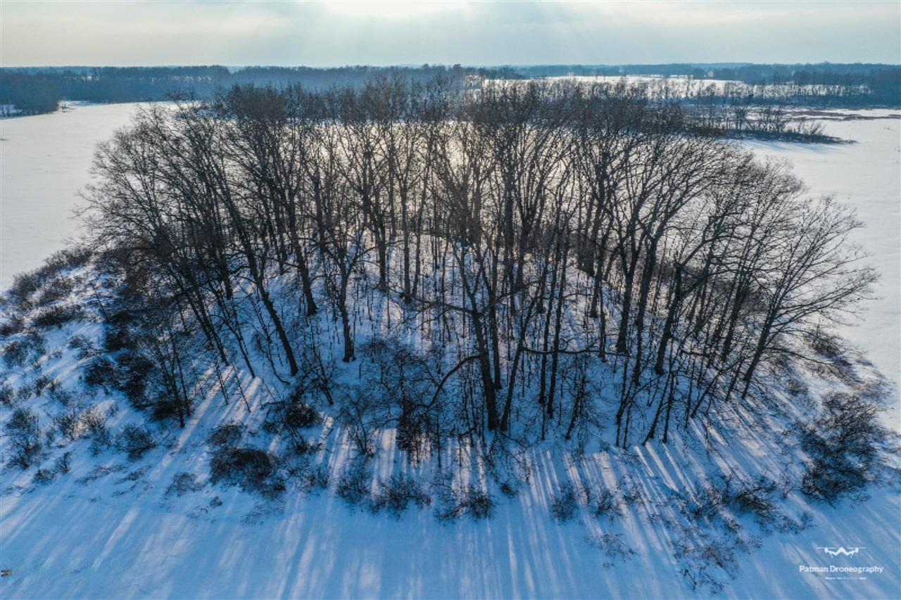 2 1/2 1/2 Mile Road Athens, MI 49011 - Photo 11 of 15