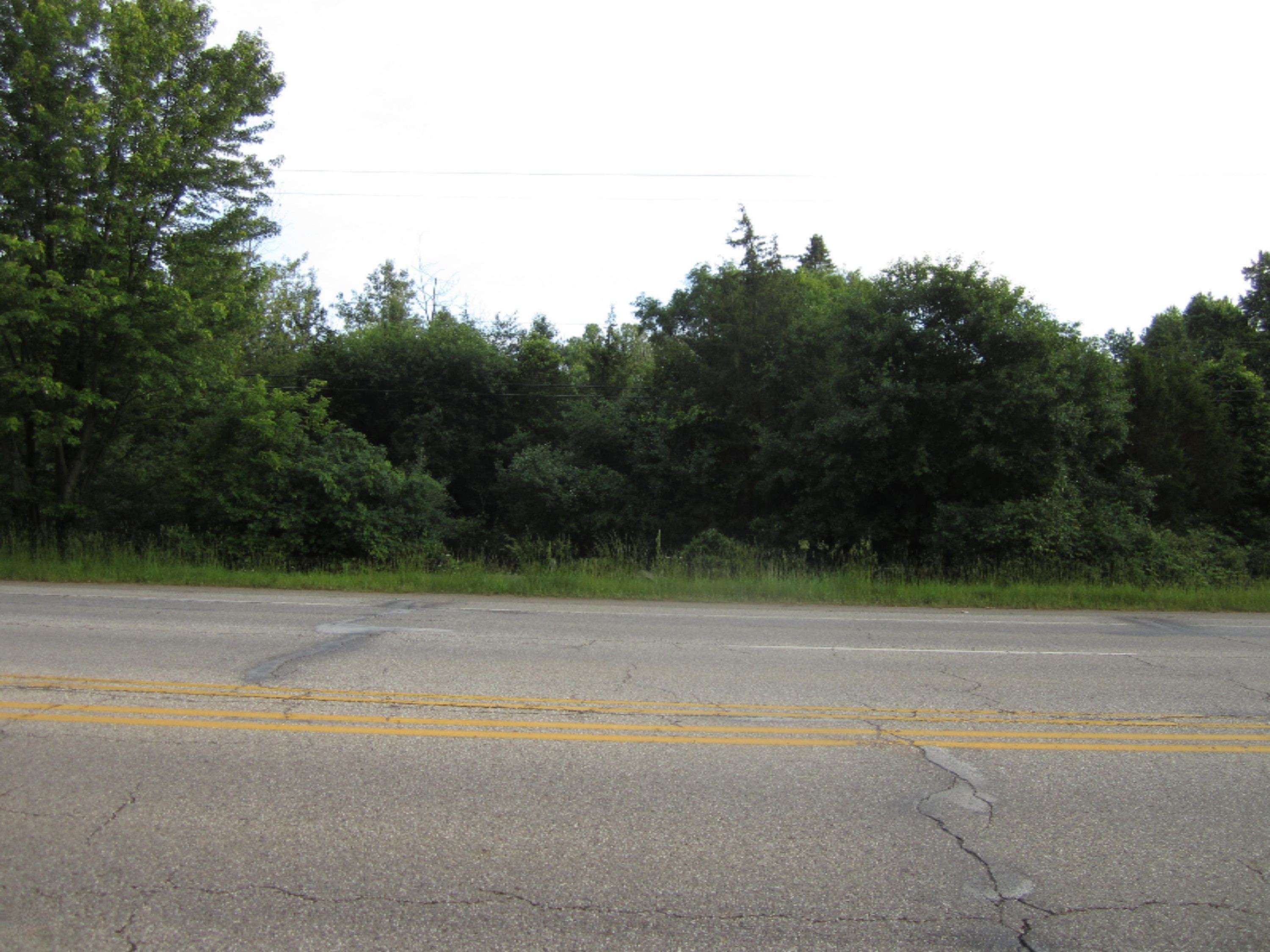 6330 Cascade Road Southeast Grand Rapids, MI 49546 - Photo 1 of 1 IMG_0985