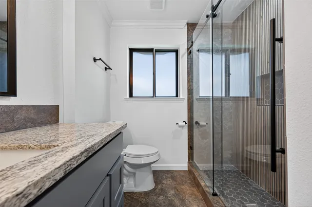 a bathroom with a granite countertop sink a toilet and shower