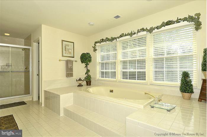 10001 Meyer Point Terrace Potomac, MD 20854 - Photo 3 of 24 Bath (Master)