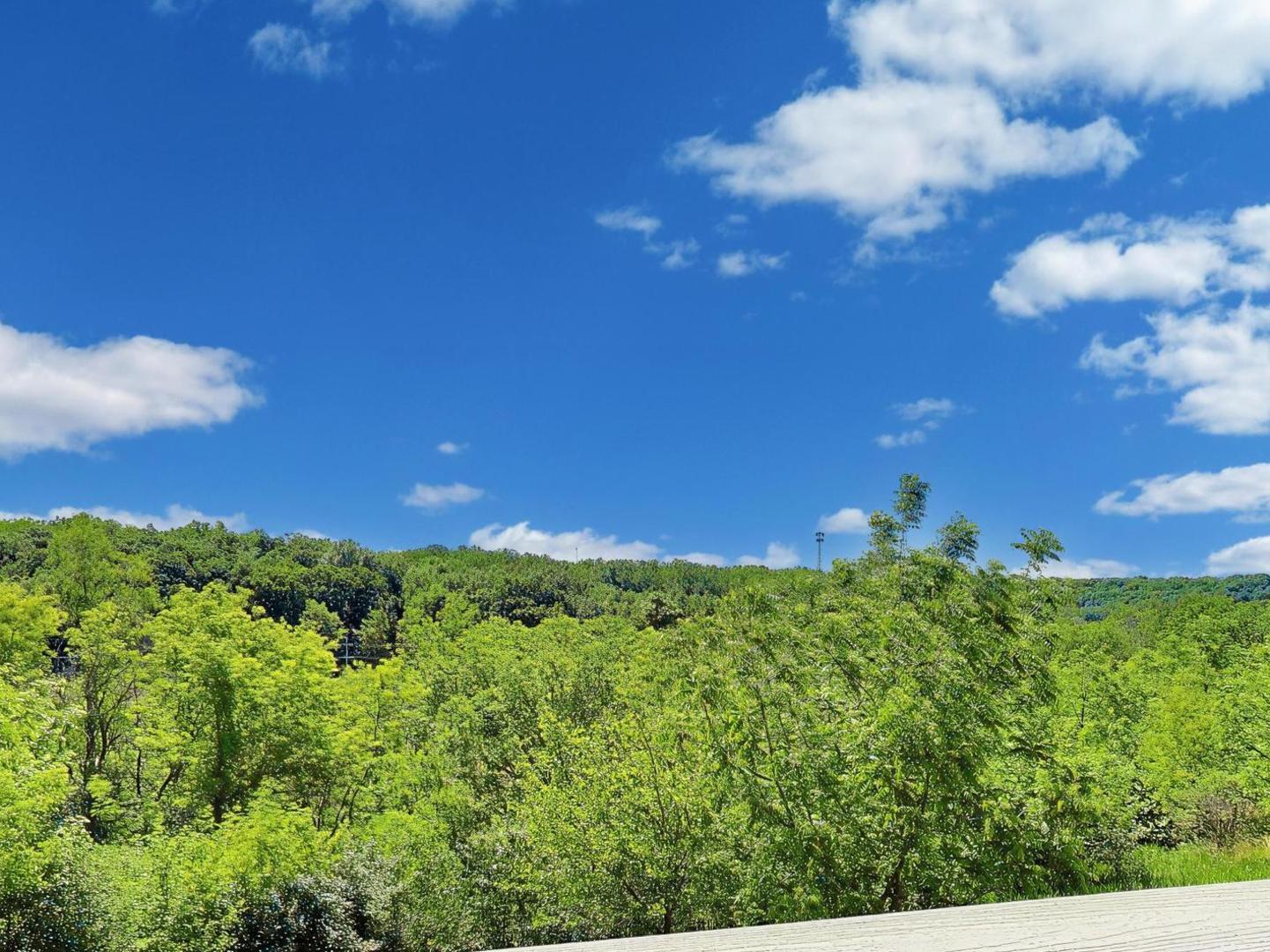 986 Viewpoint Drive Lake In The Hills, IL 60156 - Photo 14 of 39