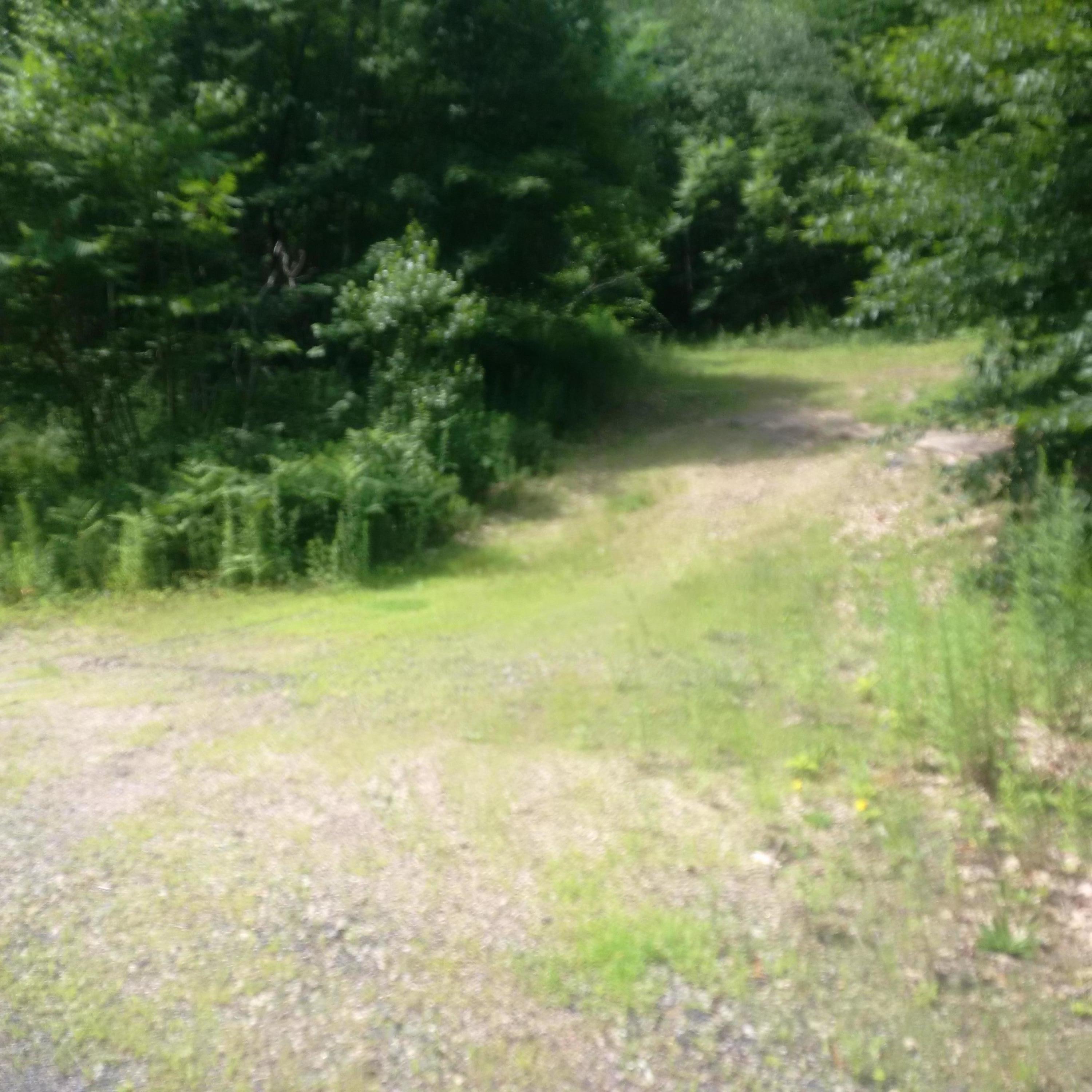 70 Josiah Norton Road Cape Neddick, ME 03902 - Photo 2 of 7 IMG_20170717_114334