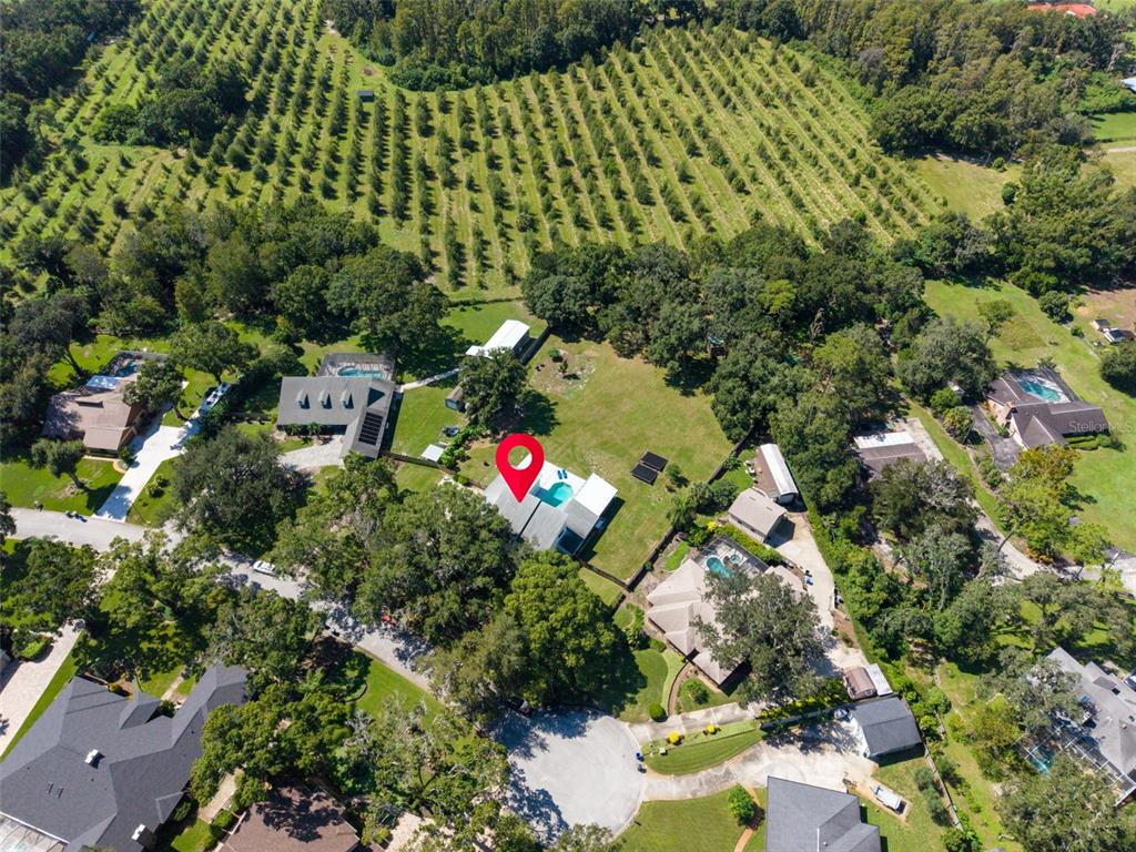 810 Warren Road Lutz, FL 33548 - Photo 62 of 68 Gallery Image 62