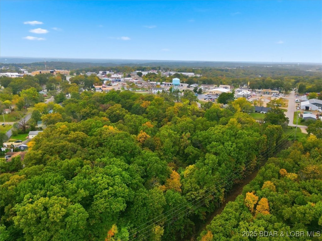 Tbd Hickory Street Camdenton, MO 65020 - Photo 12 of 17