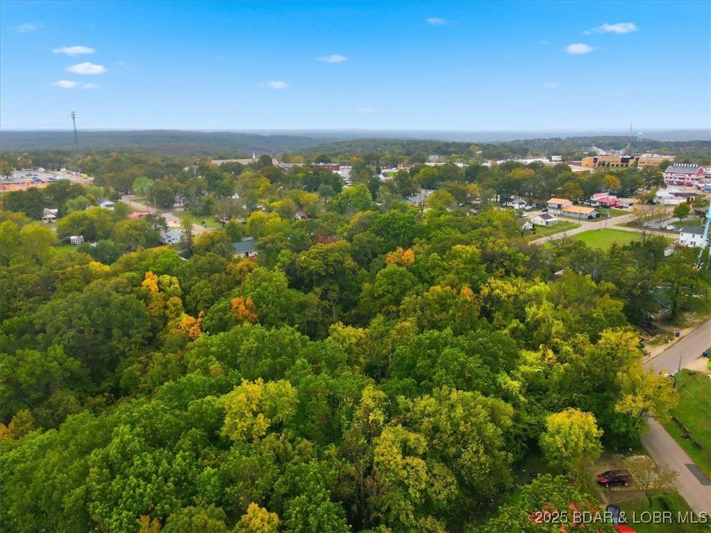 Tbd Hickory Street Camdenton, MO 65020 - Photo 13 of 17