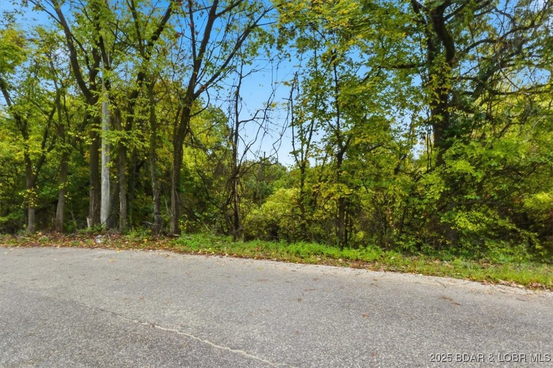 Tbd Hickory Street Camdenton, MO 65020 - Photo 14 of 17