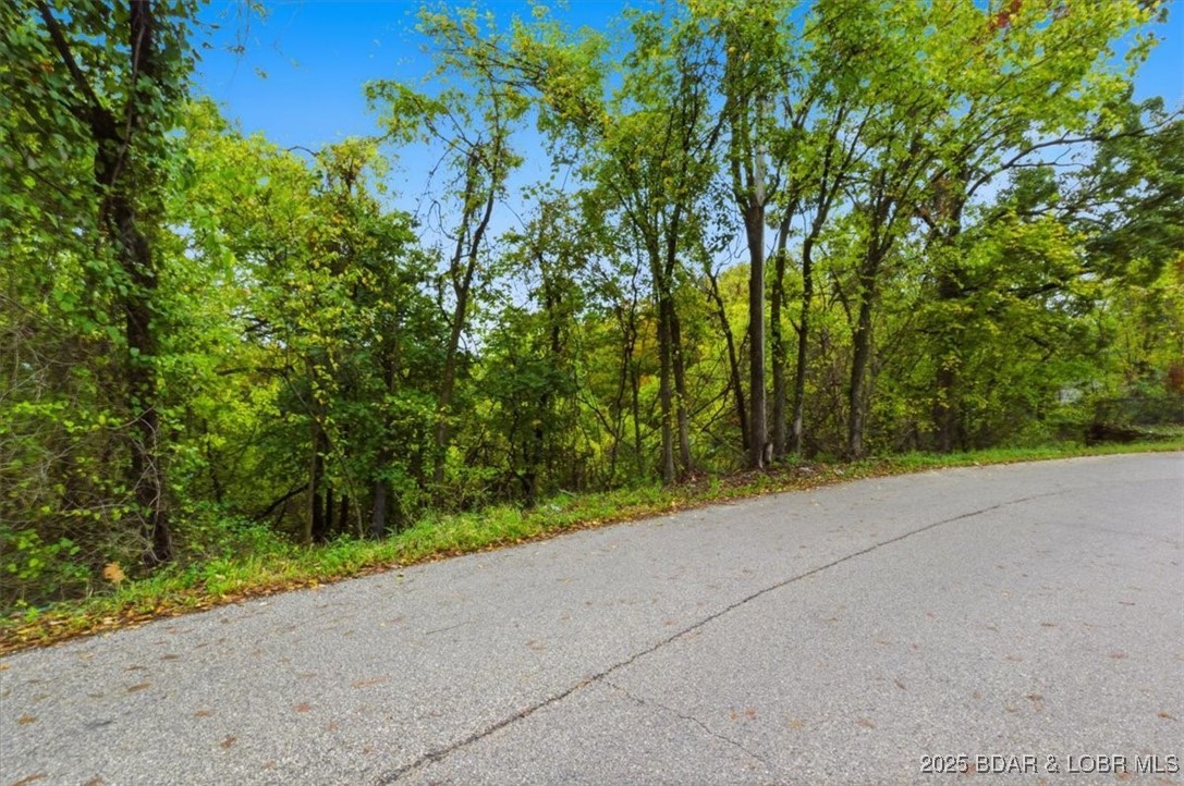 Tbd Hickory Street Camdenton, MO 65020 - Photo 15 of 17