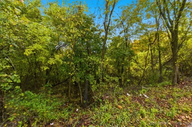 $42,000 | Tbd Hickory Street, Camdenton, MO 65020