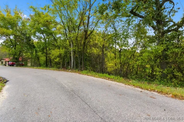 $42,000 | Tbd Hickory Street, Camdenton, MO 65020