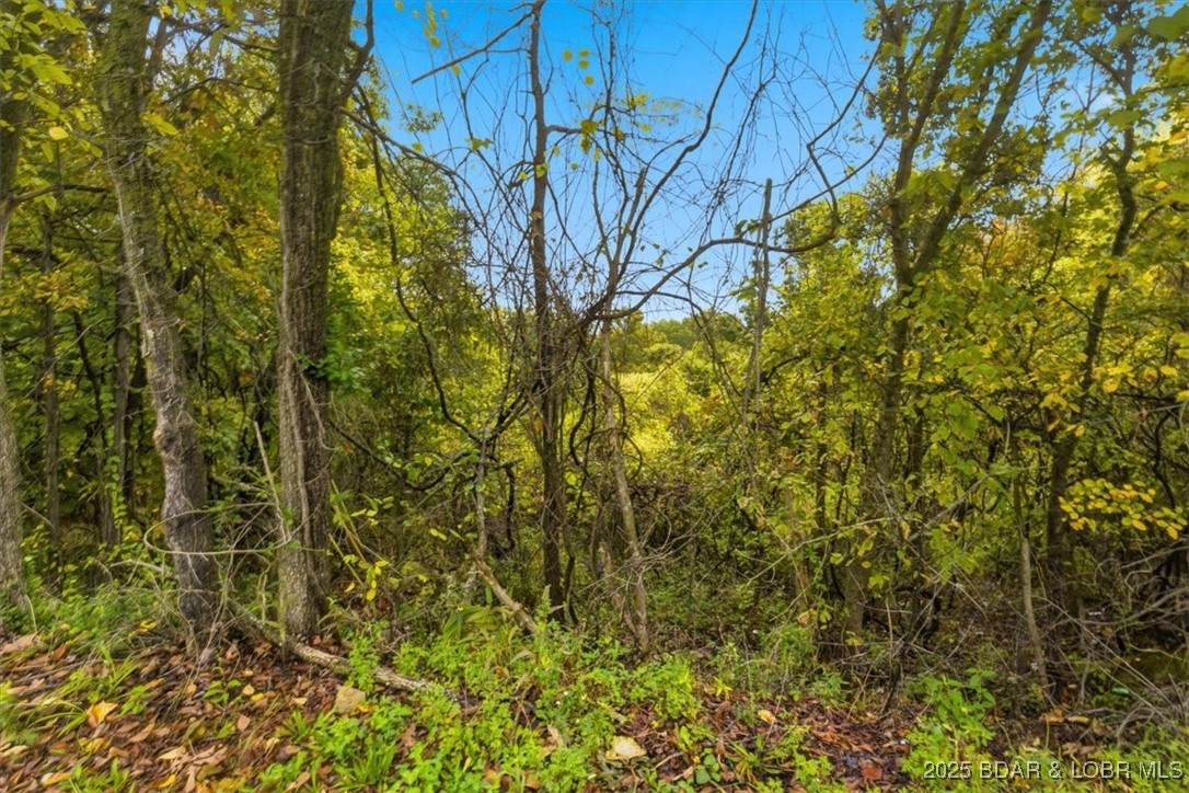 Tbd Hickory Street Camdenton, MO 65020 - Photo 4 of 17