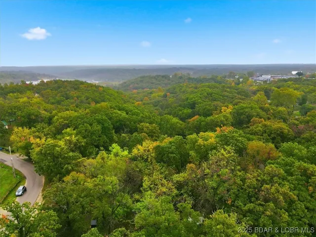 $42,000 | Tbd Hickory Street, Camdenton, MO 65020