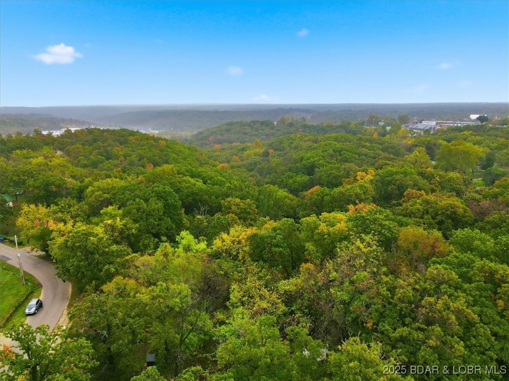 Tbd Hickory Street Camdenton, MO 65020 - Photo 5 of 17