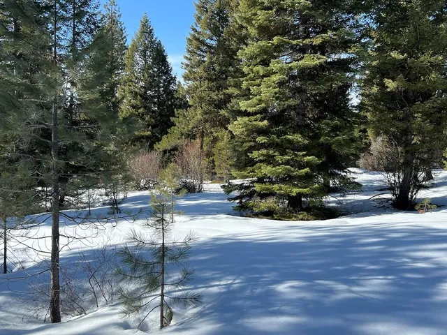 $225,000 | 8 Whitefield Lane, Unit 8, McCall, ID 83638