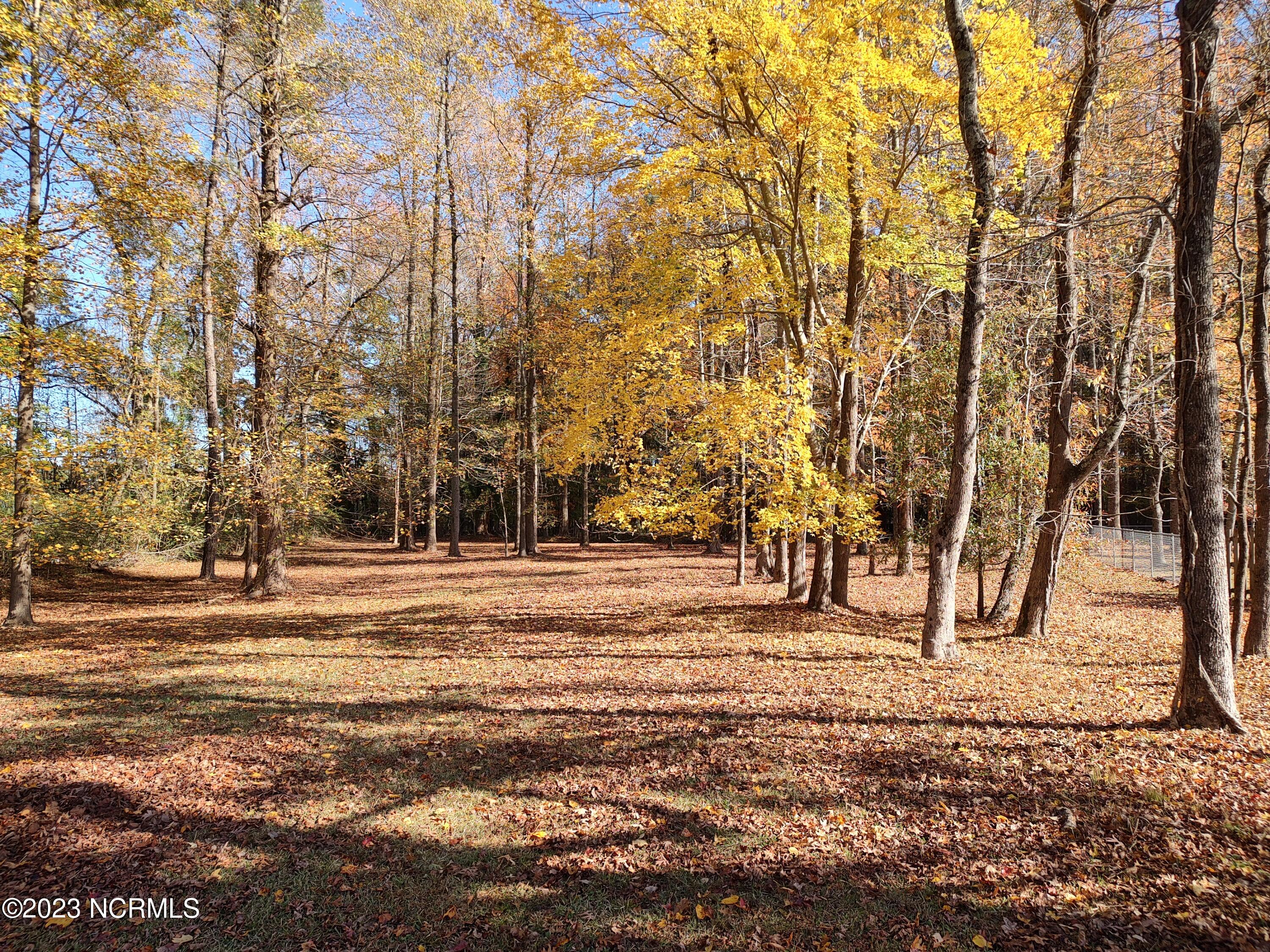 Land for Sale in Washington, NC