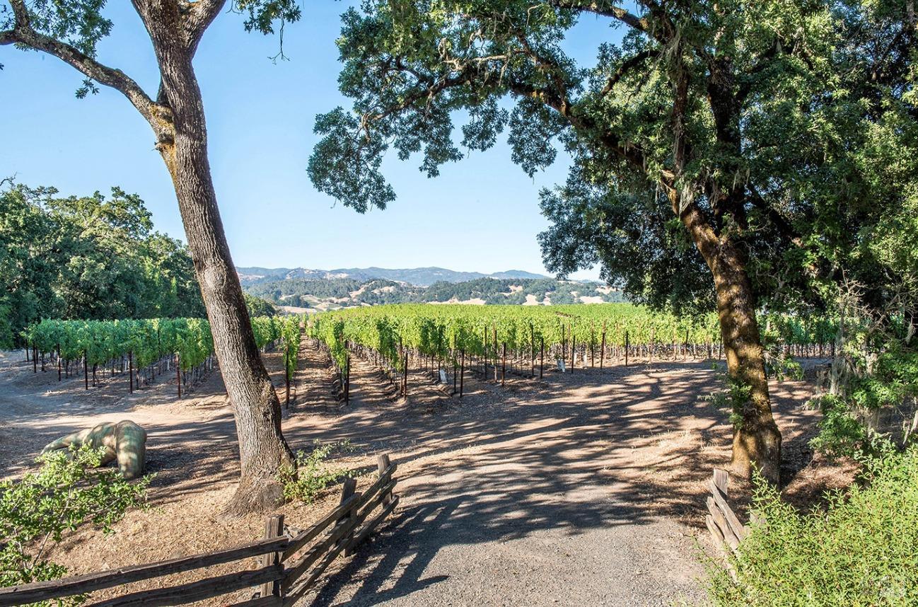 5566 Highway 128 Geyserville, CA 95441 - Photo 16 of 39