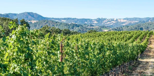 $5,995,000 | 5566 Highway 128, Geyserville, CA 95441