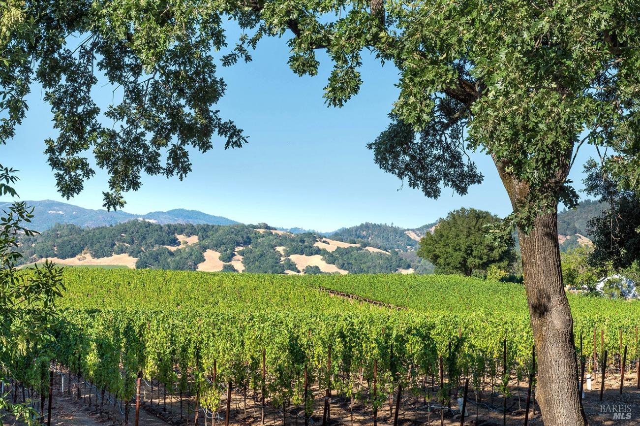 5566 Highway 128 Geyserville, CA 95441 - Photo 8 of 39 Majestic views of Alexander Valley. 6 Acres of income producing vineyards: Cabernet, Tempranillo, Zinfandel and Viognier