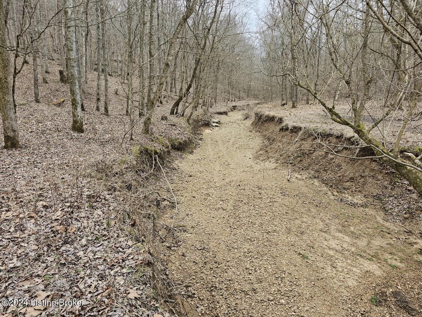 3 Nancy Priddy Road Upton, KY 42784 - Photo 19 of 21 20240209_134504 (Large)