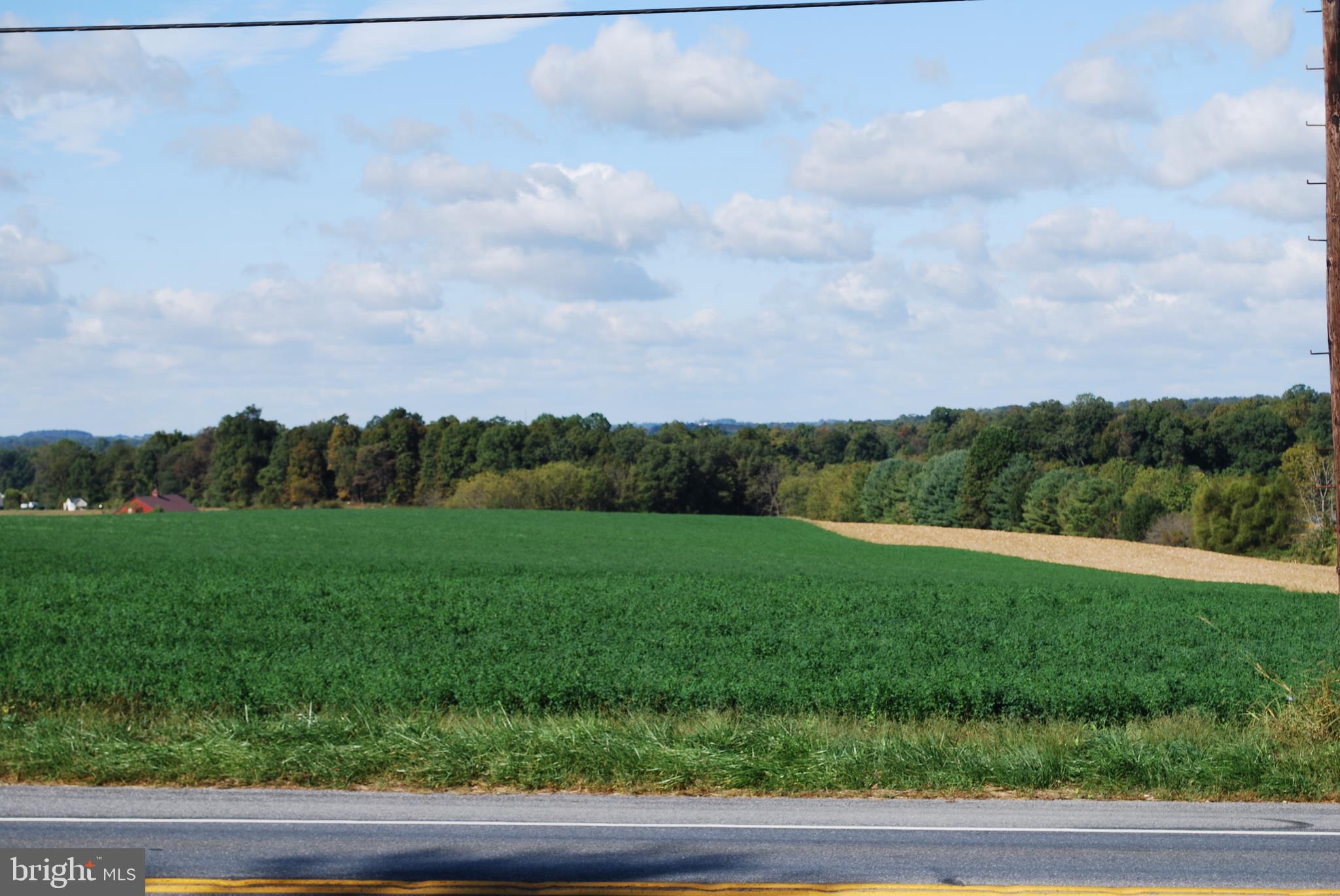 15719 Old Hanover Road Upperco, MD 21155 - Photo 33 of 34 View out the front