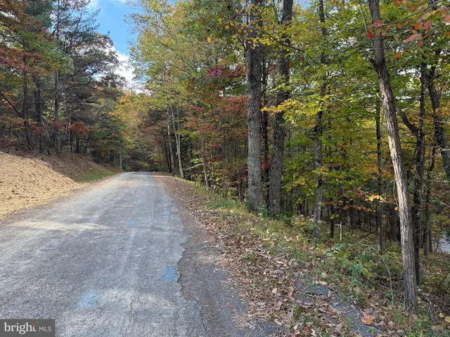 a view of outdoor space and trees