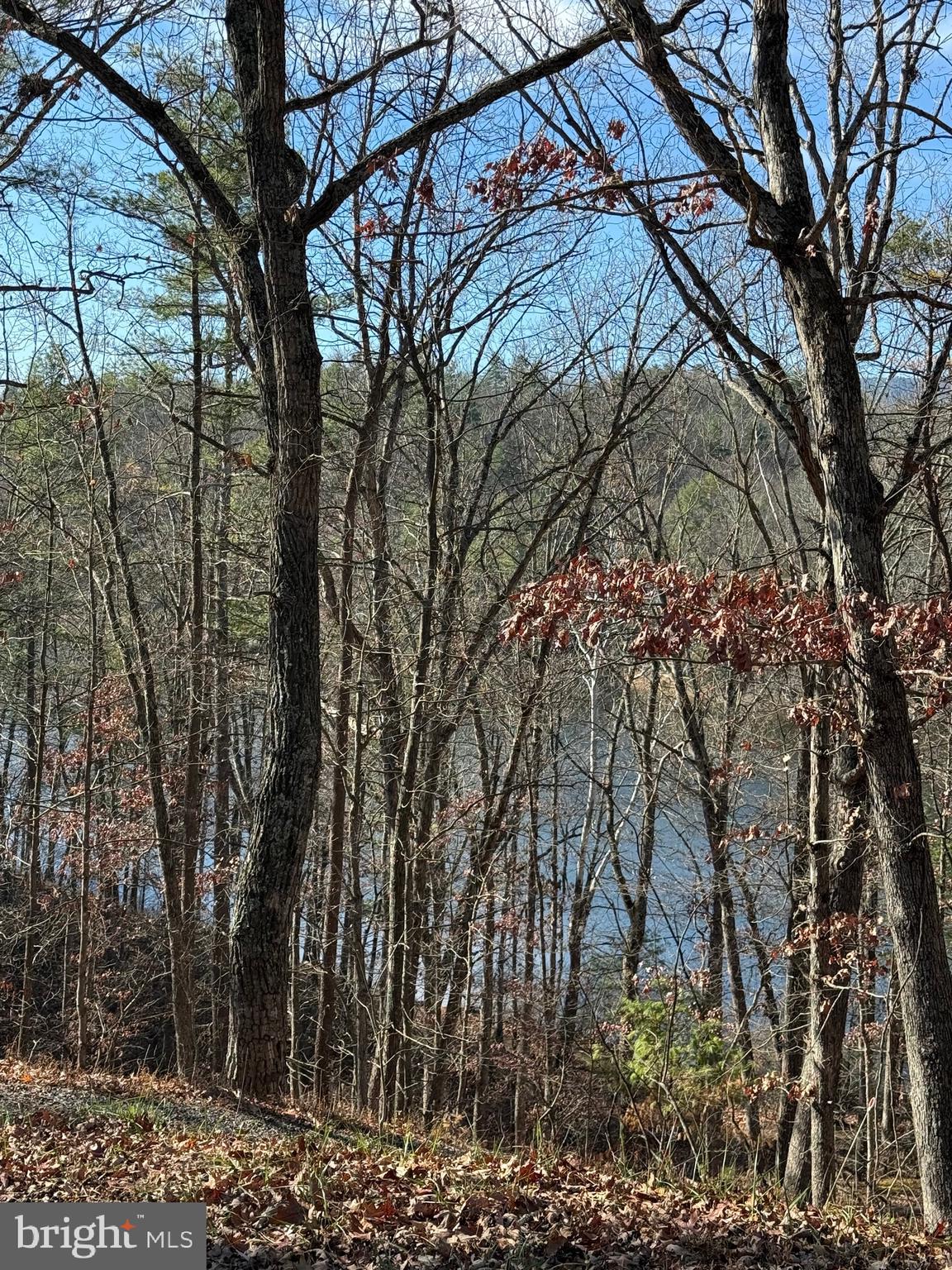 Susan Road Mount Jackson, VA 22842 - Photo 11 of 14 a backyard of a house with lots of green space