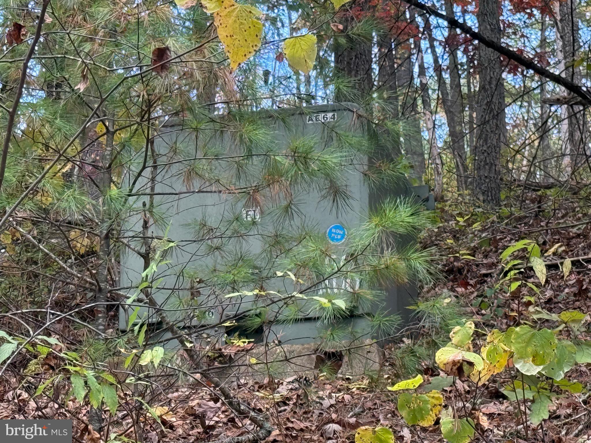 Susan Road Mount Jackson, VA 22842 - Photo 13 of 14 a bird view of multi story residential area with green space