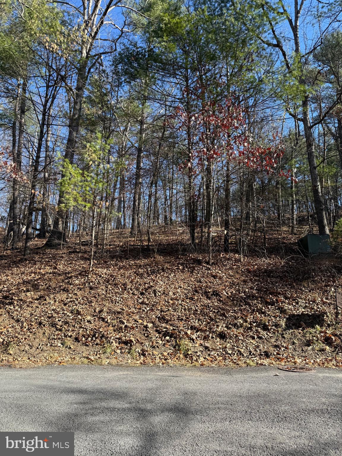 Susan Road Mount Jackson, VA 22842 - Photo 4 of 14 a view of backyard with green space