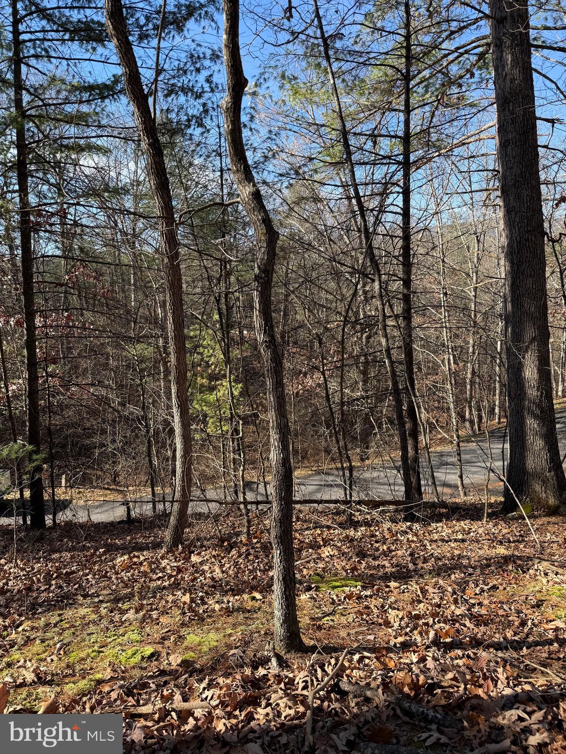 Susan Road Mount Jackson, VA 22842 - Photo 7 of 14 a view of outdoor space
