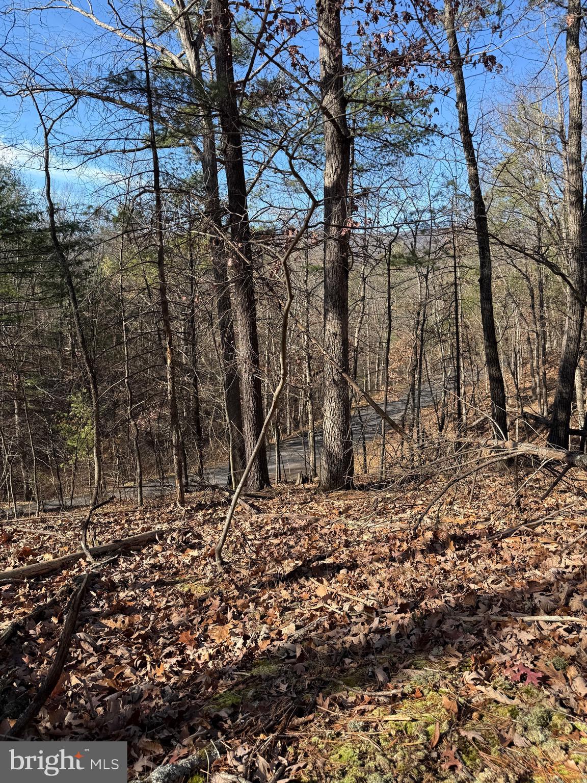 Susan Road Mount Jackson, VA 22842 - Photo 8 of 14 a backyard of a house with lots of green space