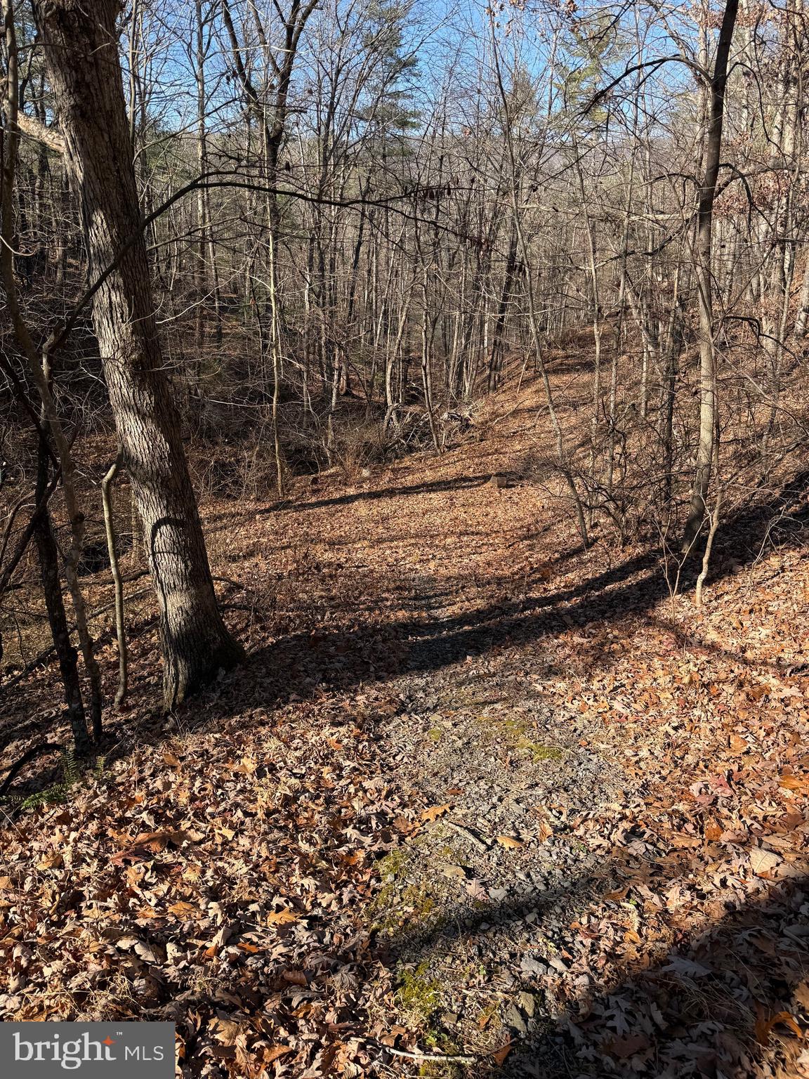 Susan Road Mount Jackson, VA 22842 - Photo 10 of 14 a view of a yard with wooden fence