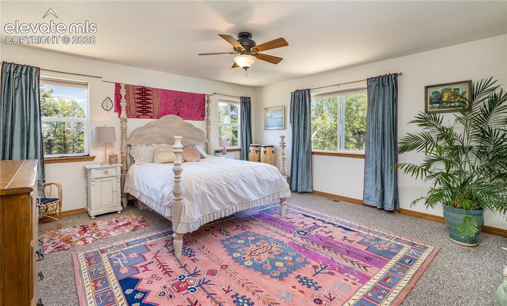 161 Wahsatch Road Florissant, CO 80816 - Photo 20 of 36