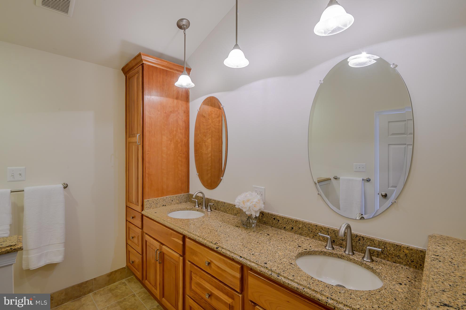 3783 Inverness Road Fairfax, VA 22033 - Photo 17 of 50 Owners Bathroom