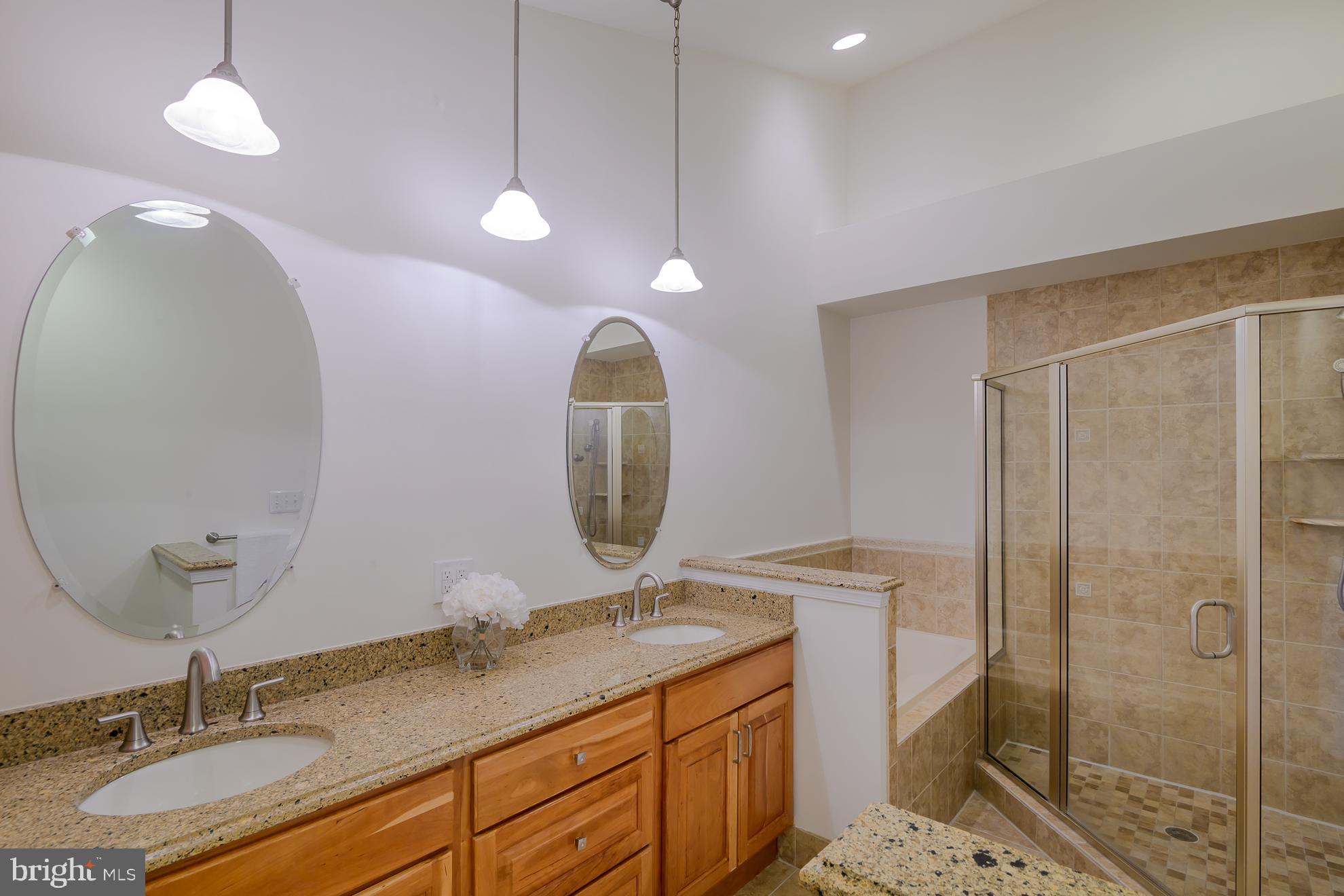 3783 Inverness Road Fairfax, VA 22033 - Photo 18 of 50 Owners Bathroom with Soaking Tub and Shower