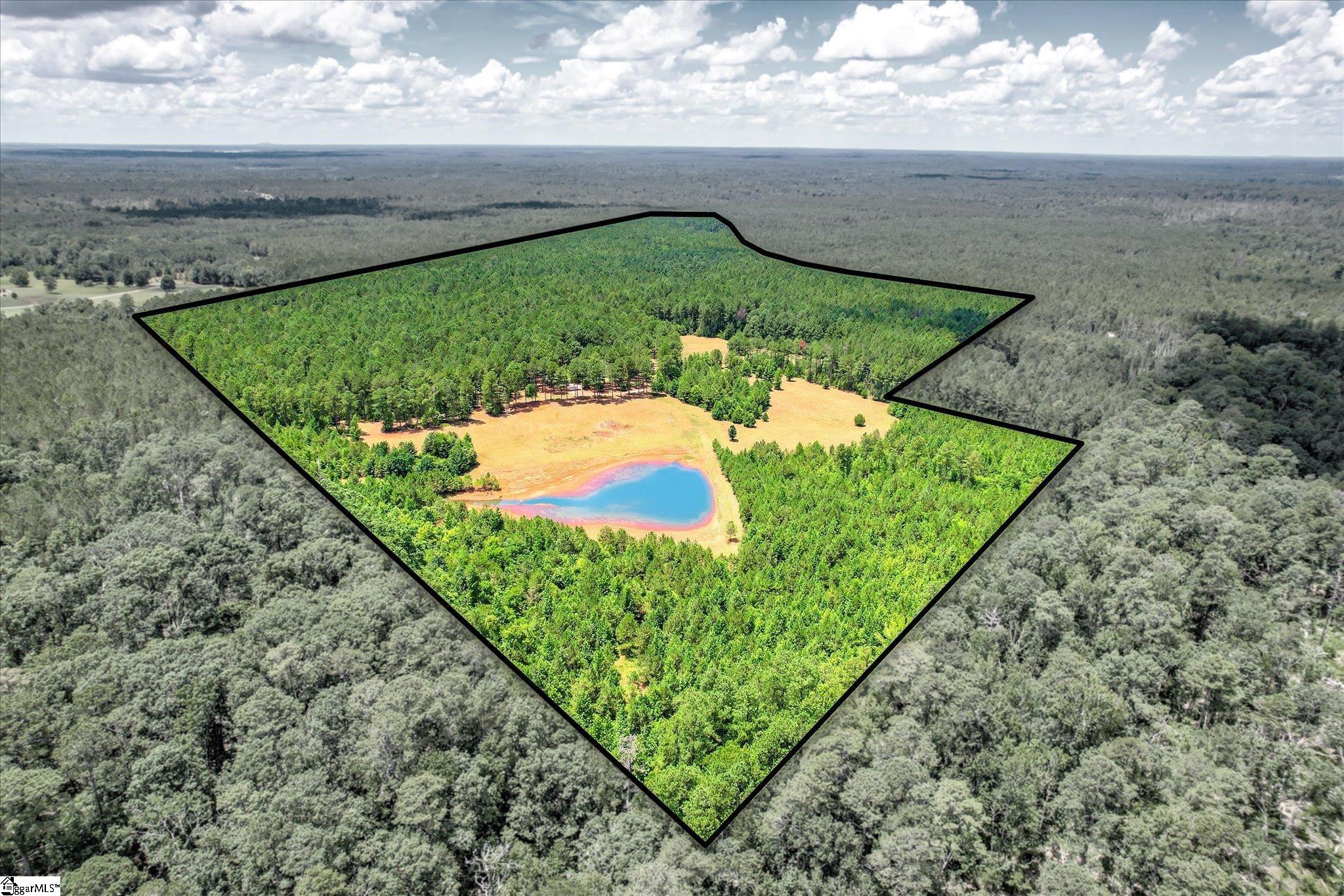 395 New Cut Road Edgefield, SC 29824 - Photo 48 of 50