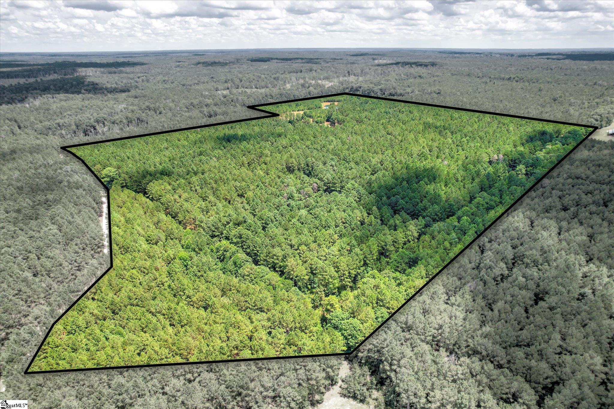 395 New Cut Road Edgefield, SC 29824 - Photo 49 of 50