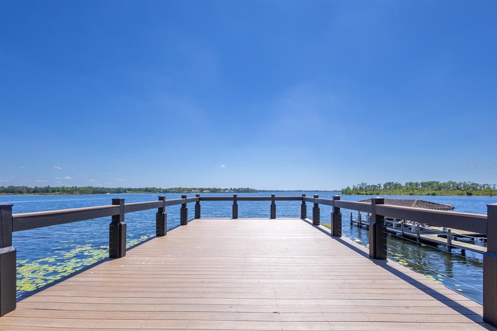 728 Forest Street Windermere, FL 34786 - Photo 87 of 98