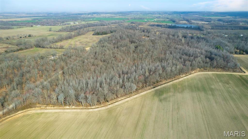 0 County Road 633 Dexter, MO 63841 - Photo 3 of 10