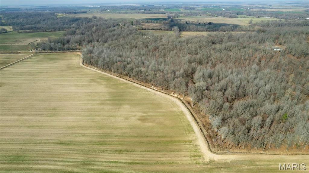 0 County Road 633 Dexter, MO 63841 - Photo 4 of 10