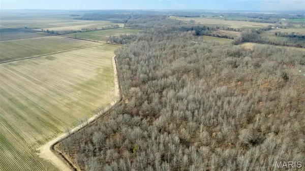 $120,000 | 0 County Road 633, Dexter, MO 63841