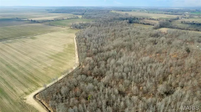 $120,000 | 0 County Road 633, Dexter, MO 63841