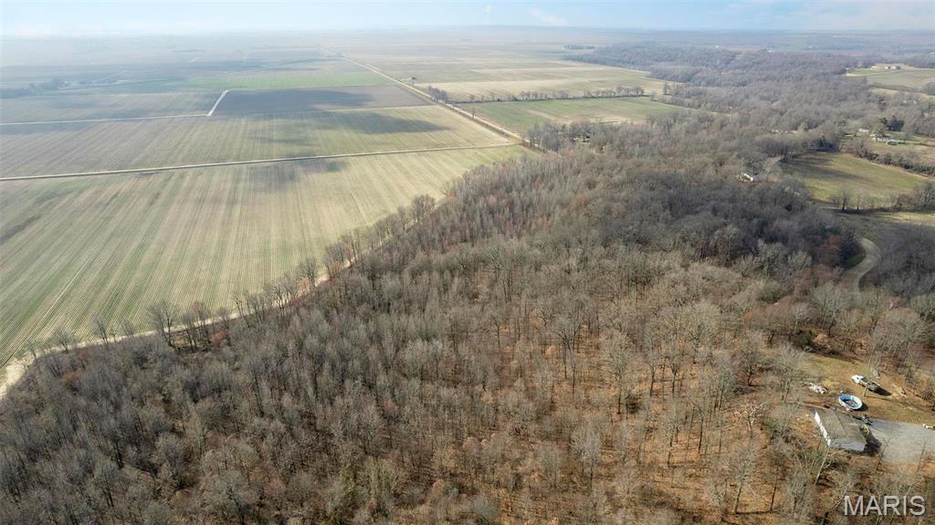 0 County Road 633 Dexter, MO 63841 - Photo 6 of 10