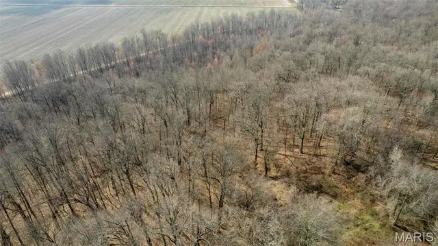 $120,000 | 0 County Road 633, Dexter, MO 63841