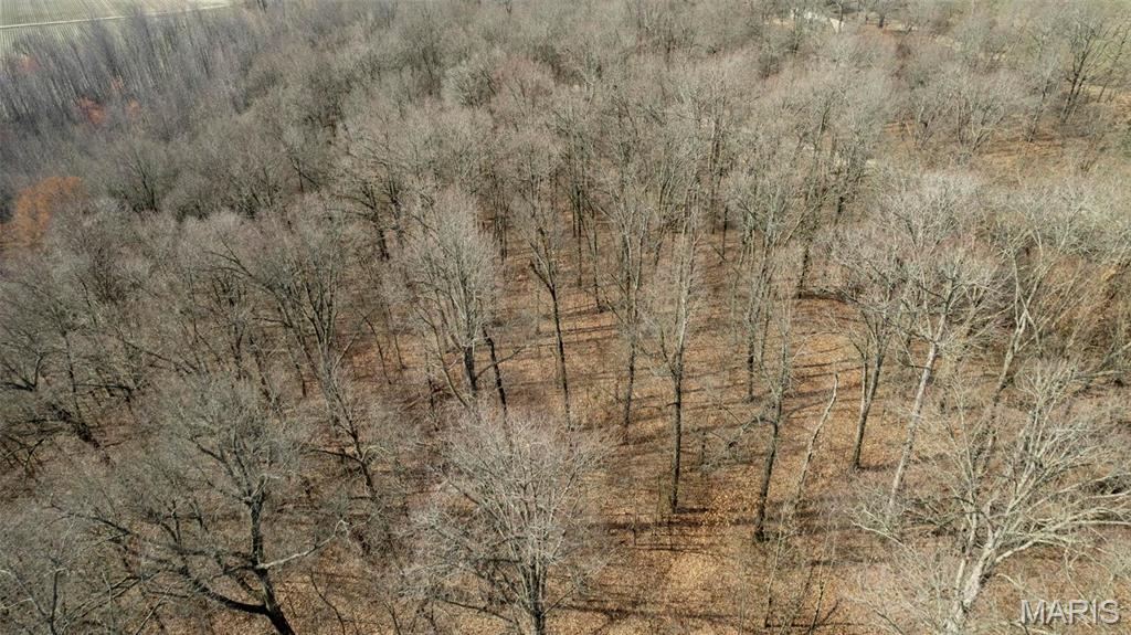 0 County Road 633 Dexter, MO 63841 - Photo 9 of 10