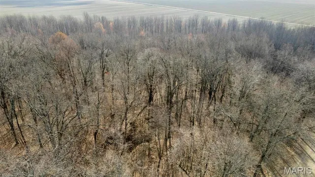 $120,000 | 0 County Road 633, Dexter, MO 63841