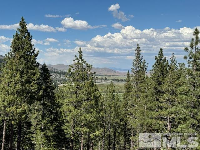 2900 Old Ranch Road Washoe Valley, NV 89704 - Photo 11 of 24 Photo 11