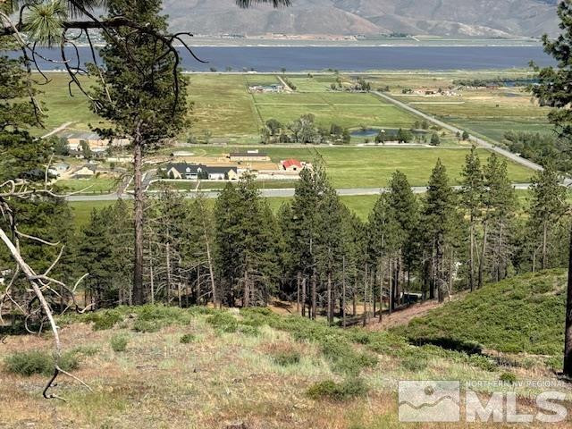 2900 Old Ranch Road Washoe Valley, NV 89704 - Photo 12 of 24 Photo 12
