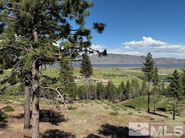 2900 Old Ranch Road Washoe Valley, NV 89704 - Photo 14 of 24 Photo 14